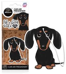 Animals Sausage Dog